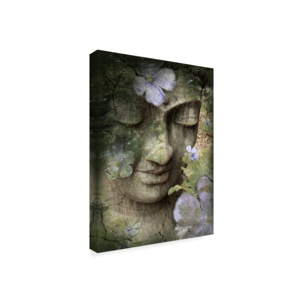 Fusion Idol Arts 'Inner Tranquility' Canvas Art,14x19